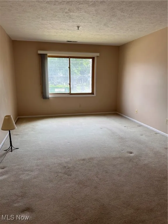 Primary bedroom featuring carpet flooring, a textured ceiling, and a pendent fire sprinkler
