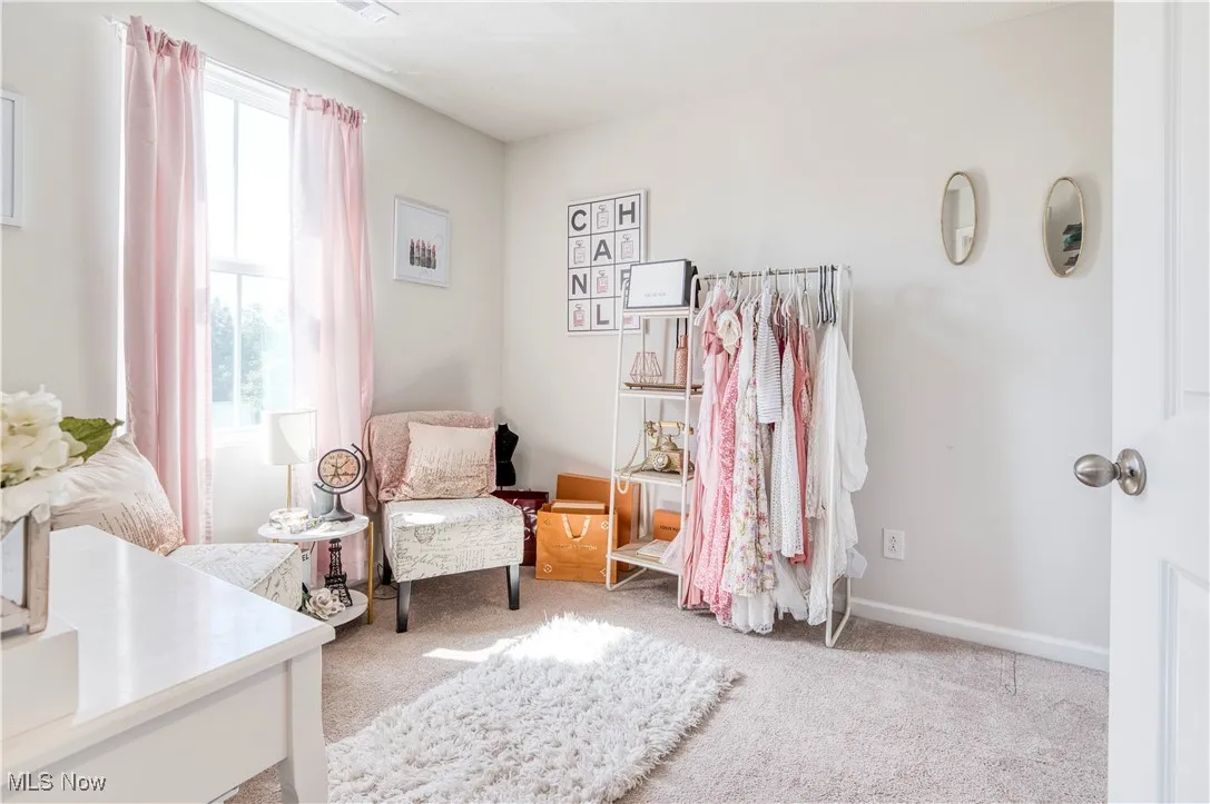Living area featuring carpet floors and baseboards