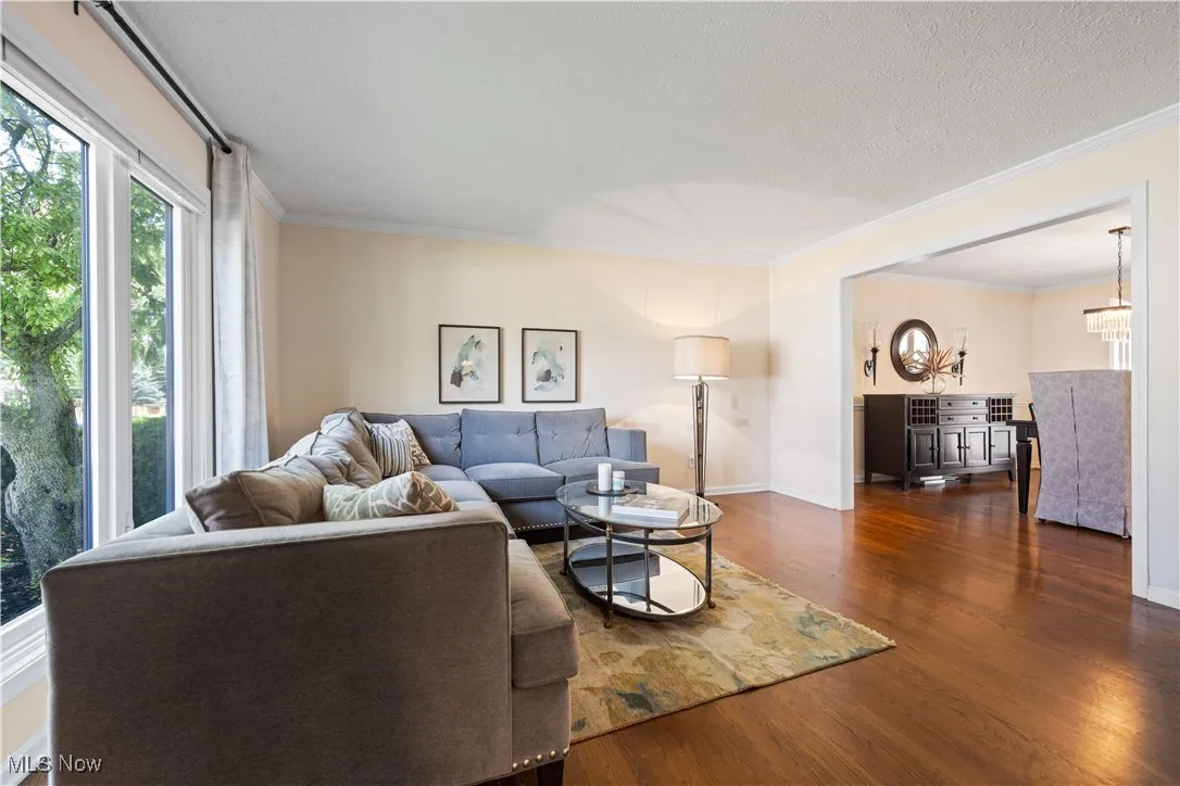 Living room with crown molding, wood finished floors, a chandelier, and a textured ceiling