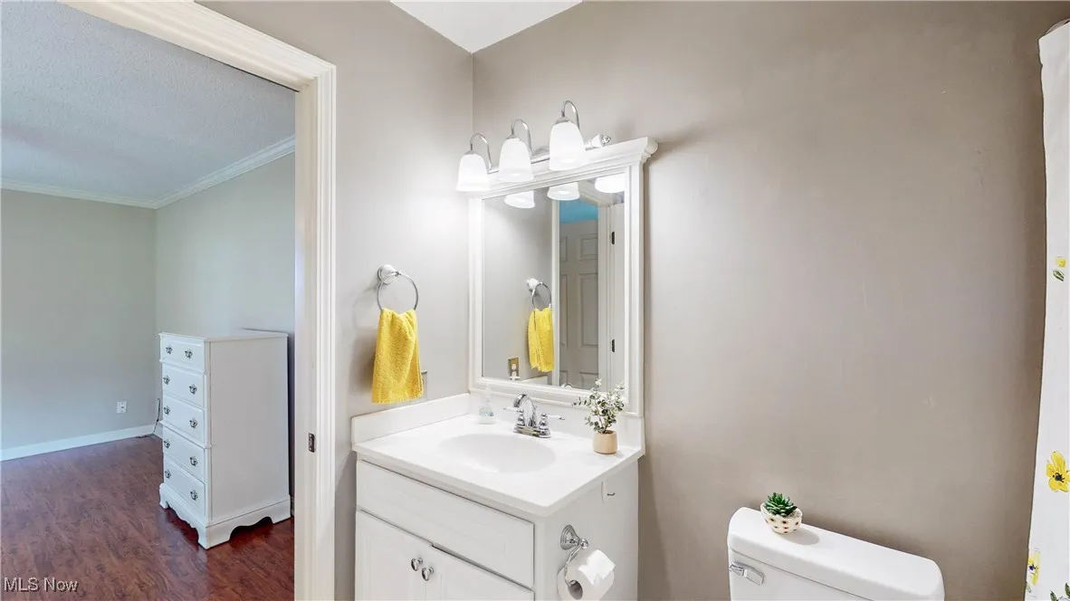Bathroom with ornamental molding, vanity, wood finished floors, and a textured ceiling