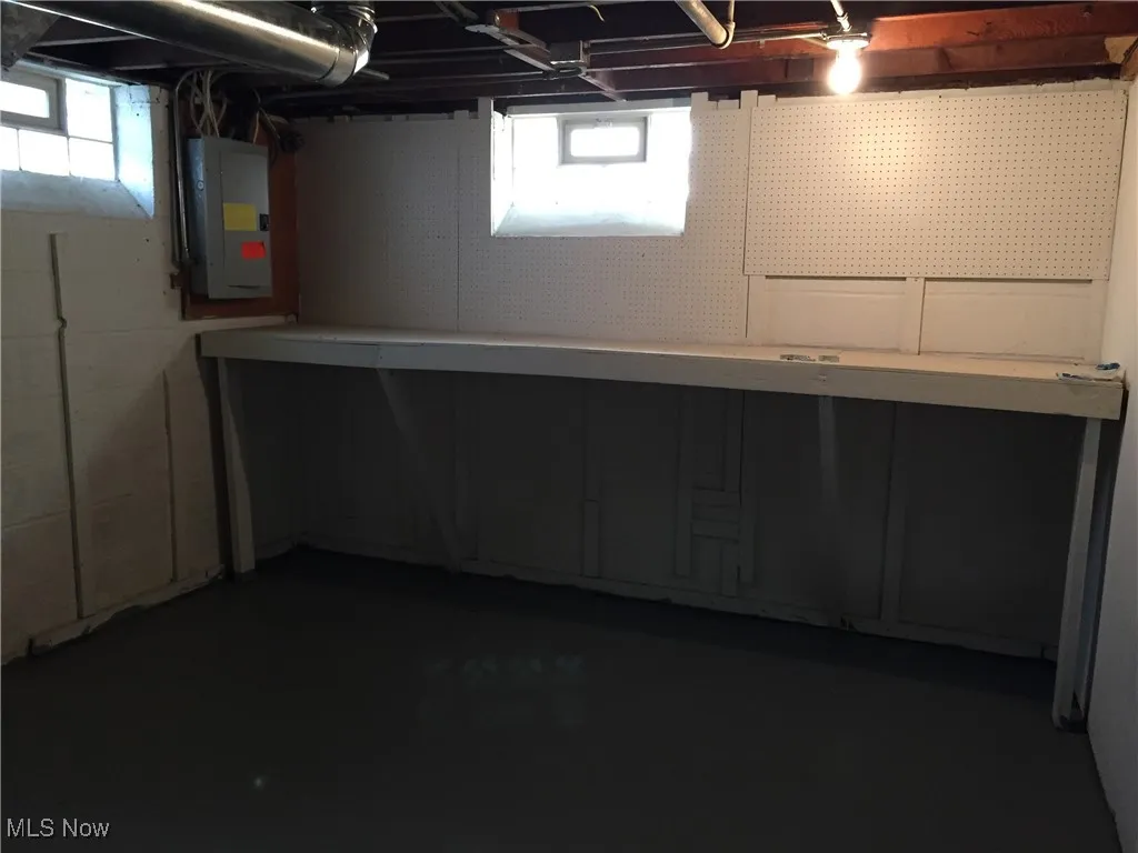 Basement featuring electric panel