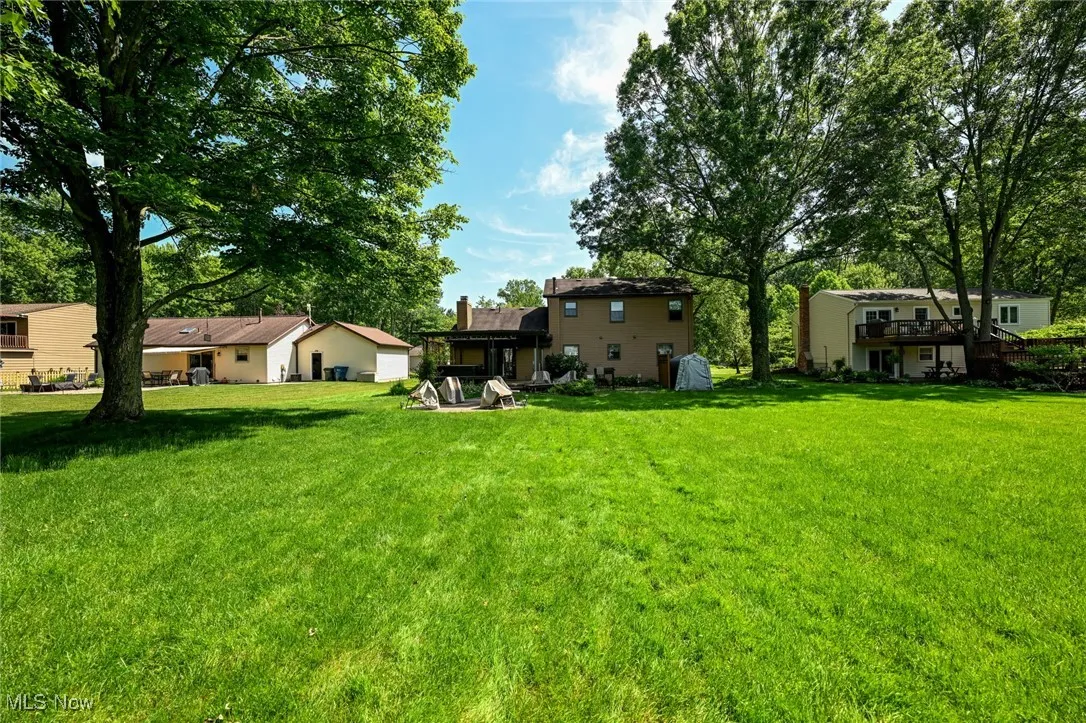 View of grassy yard