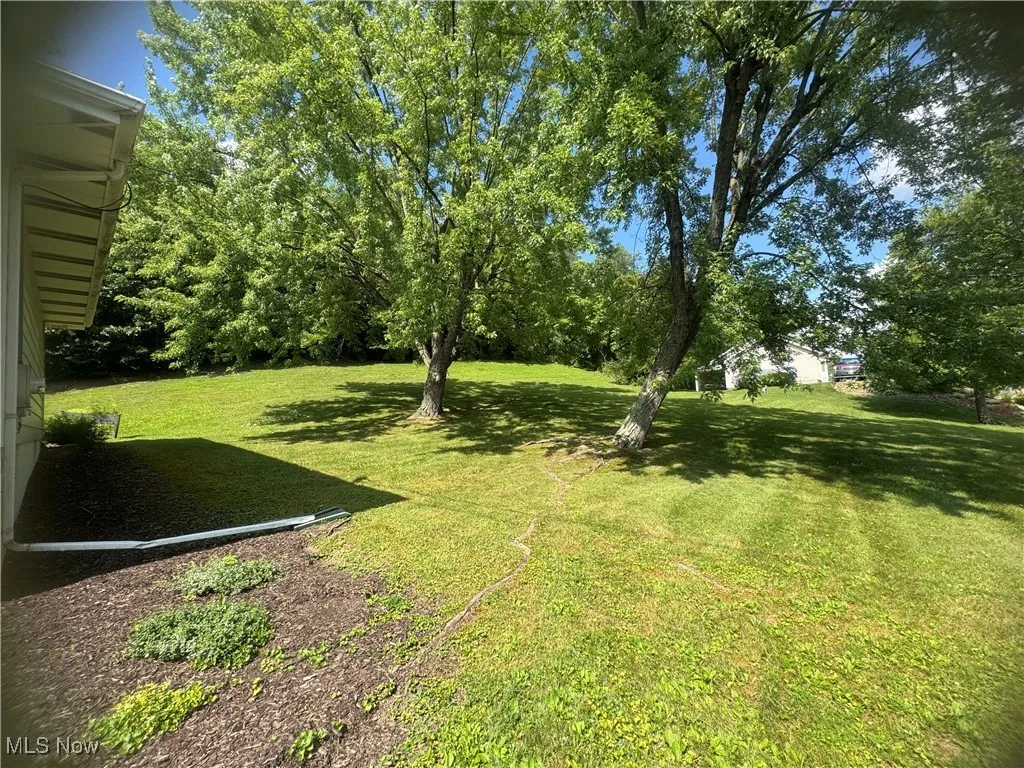 View of grassy yard