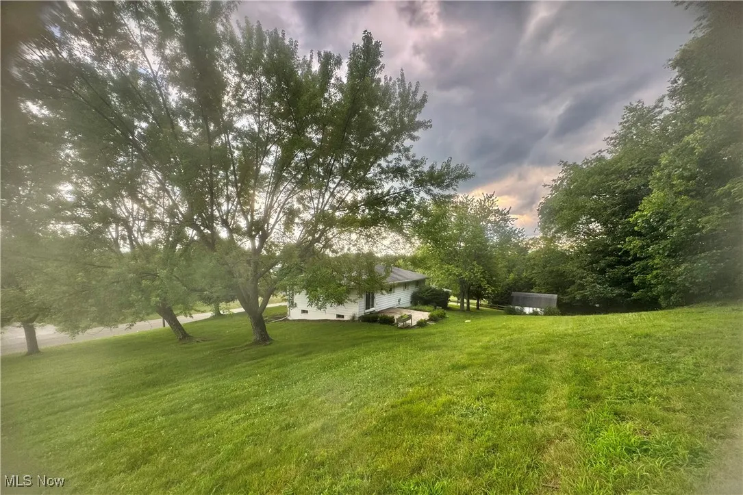 View of grassy yard