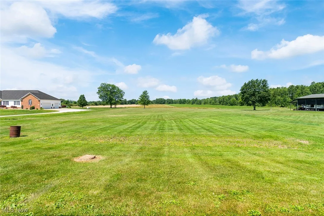 View of grassy yard