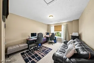 8028 Megan Meadow Drive, Hudson, Ohio,MLS Now Listing ID