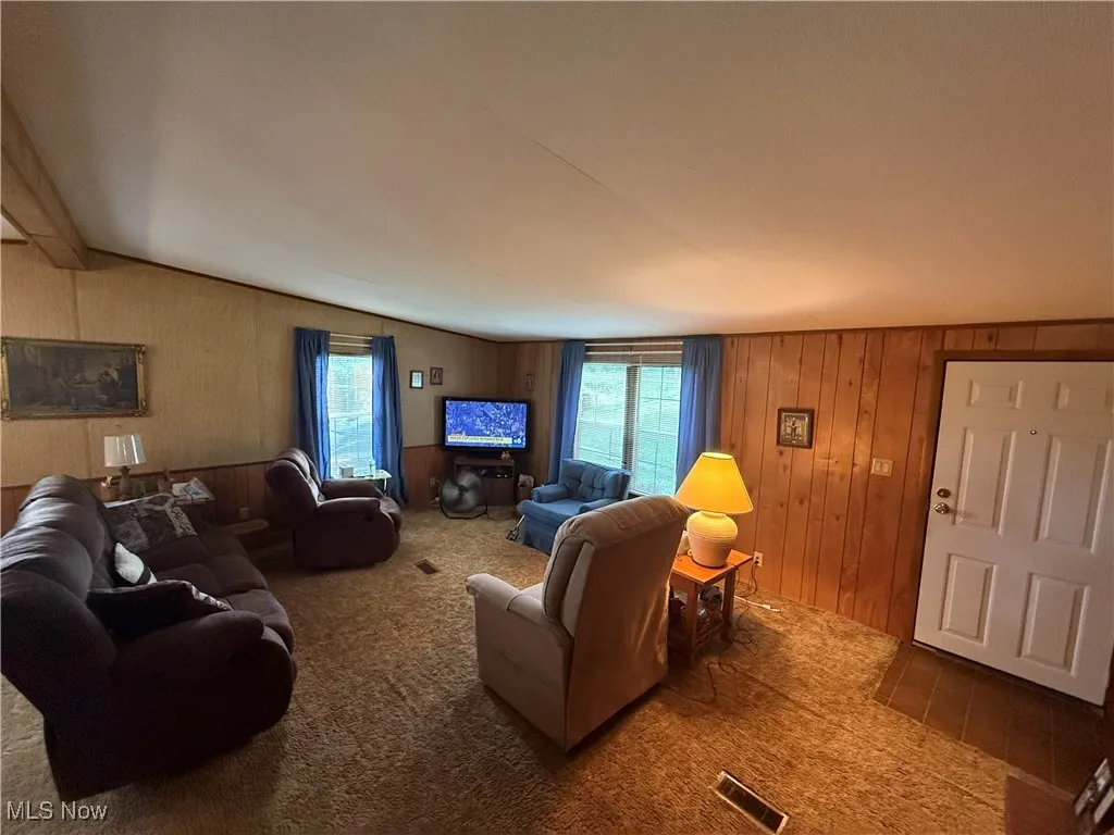 Living area featuring carpet, wood walls, and vaulted ceiling