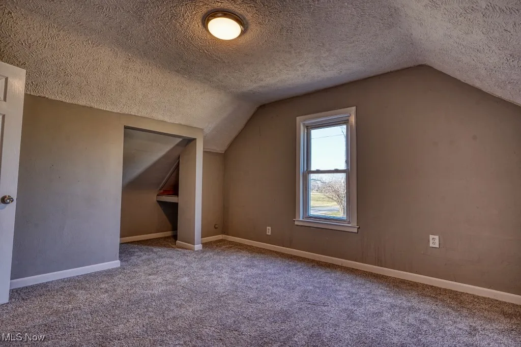 Bonus room featuring a textured ceiling, vaulted ceiling, and carpet floors