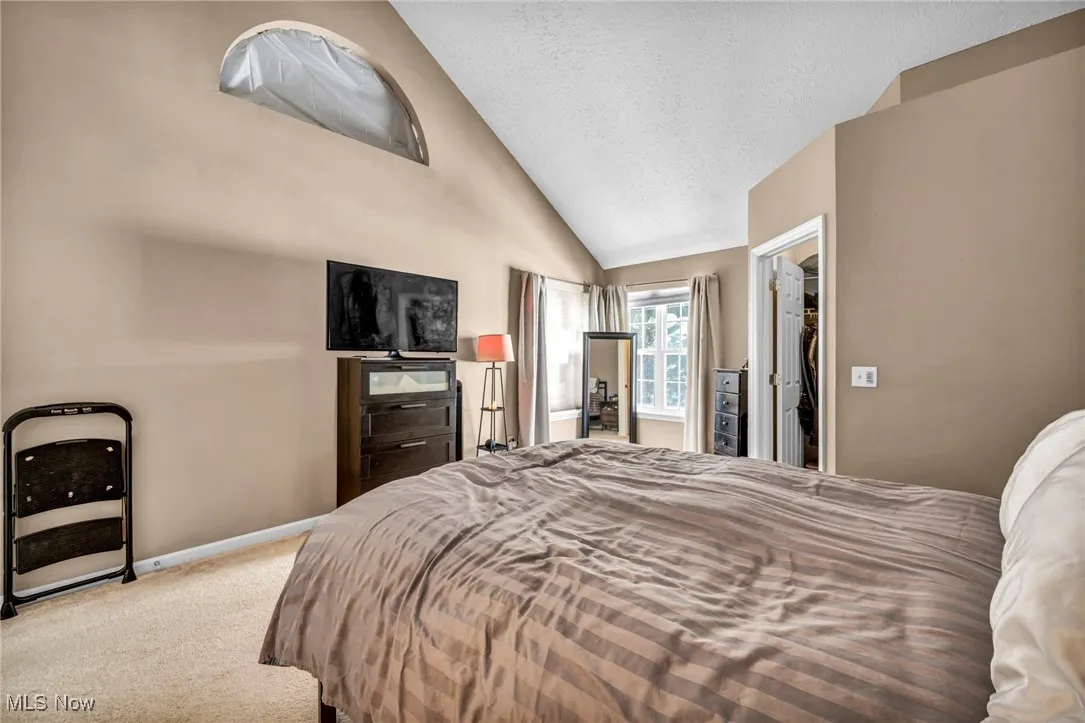 Carpeted bedroom with a spacious closet, high vaulted ceiling, and a textured ceiling
