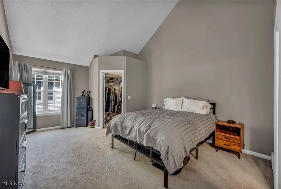 Bedroom featuring vaulted ceiling, light carpet, a walk in closet, and a closet
