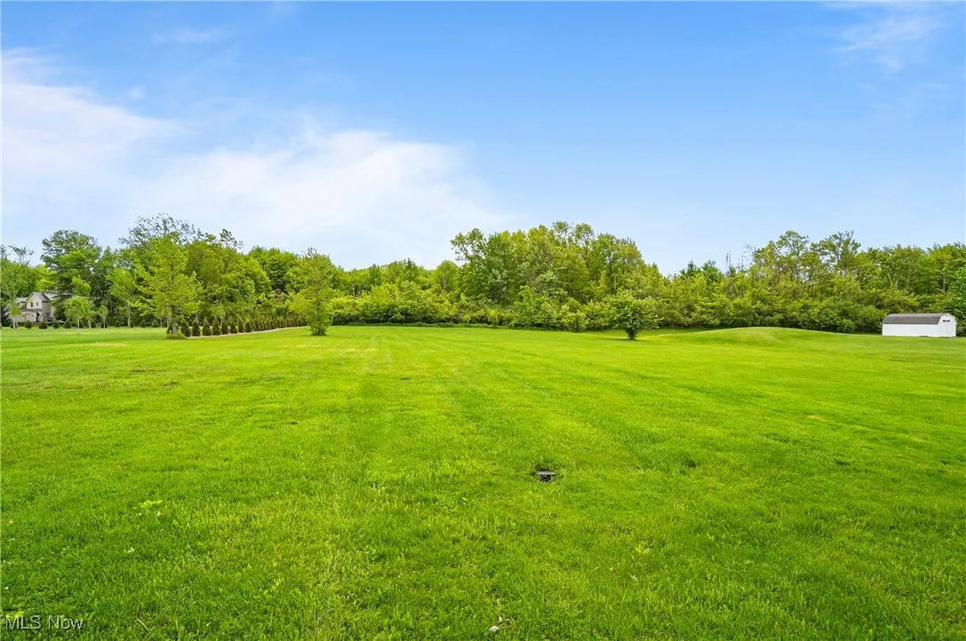 View of backyard