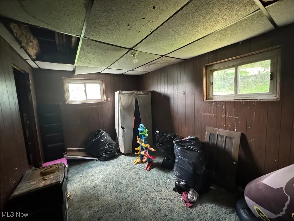 Basement with carpet flooring and wooden walls