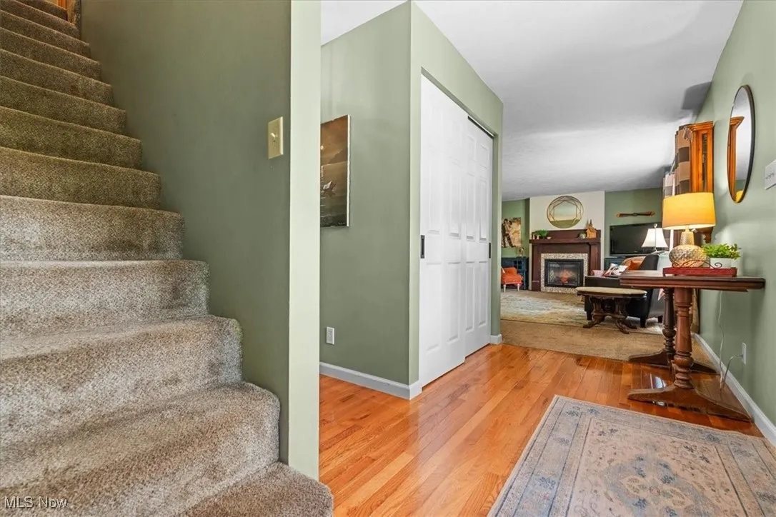 Entry/Foyer