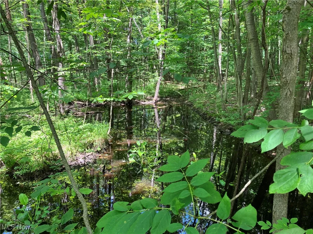 Small pond