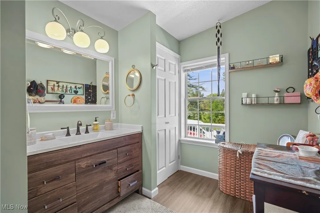 Bathroom featuring wood finished floors and vanity