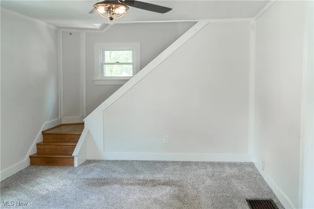 Living room carpet and a ceiling fan