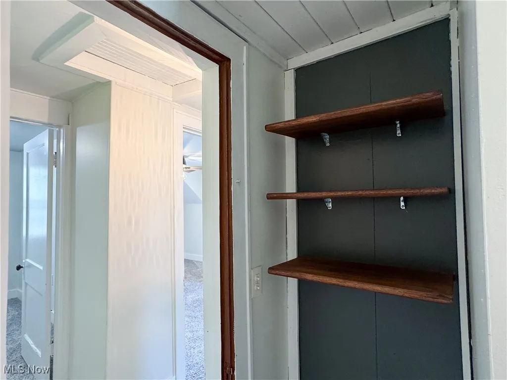 Bathroom shelves