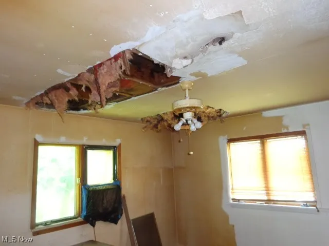 Ceiling Damage