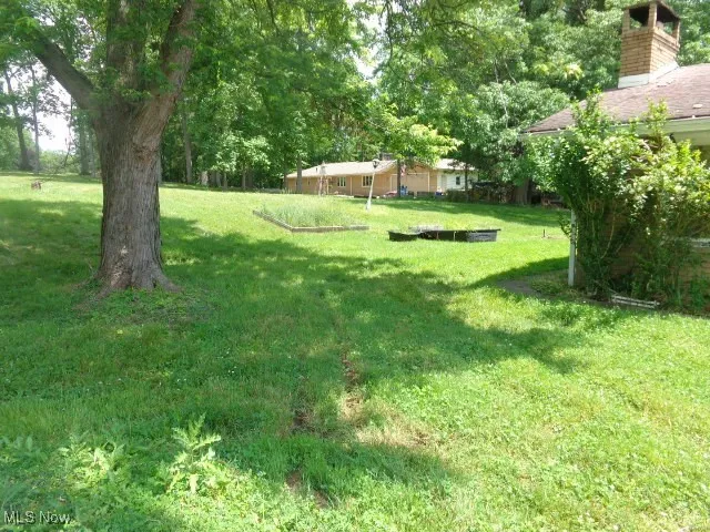 Rear Yard