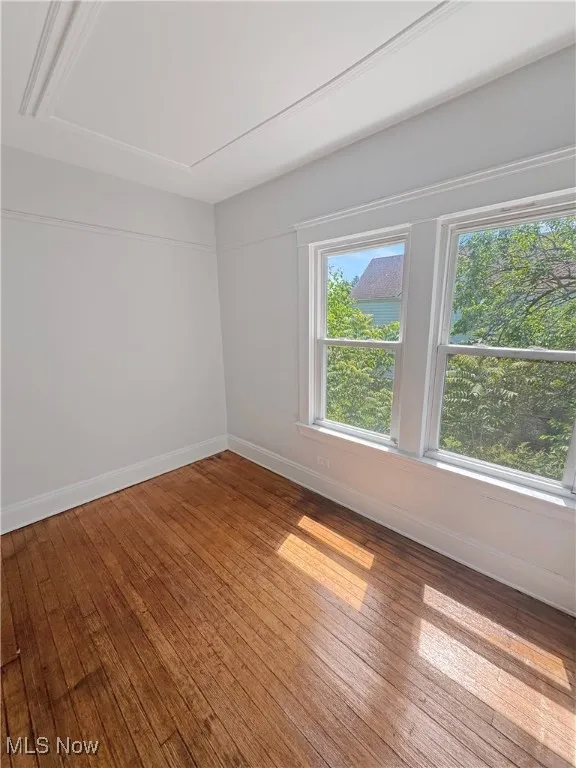 1156 Carl Avenue, Cleveland, Ohio,MLS Now Listing ID