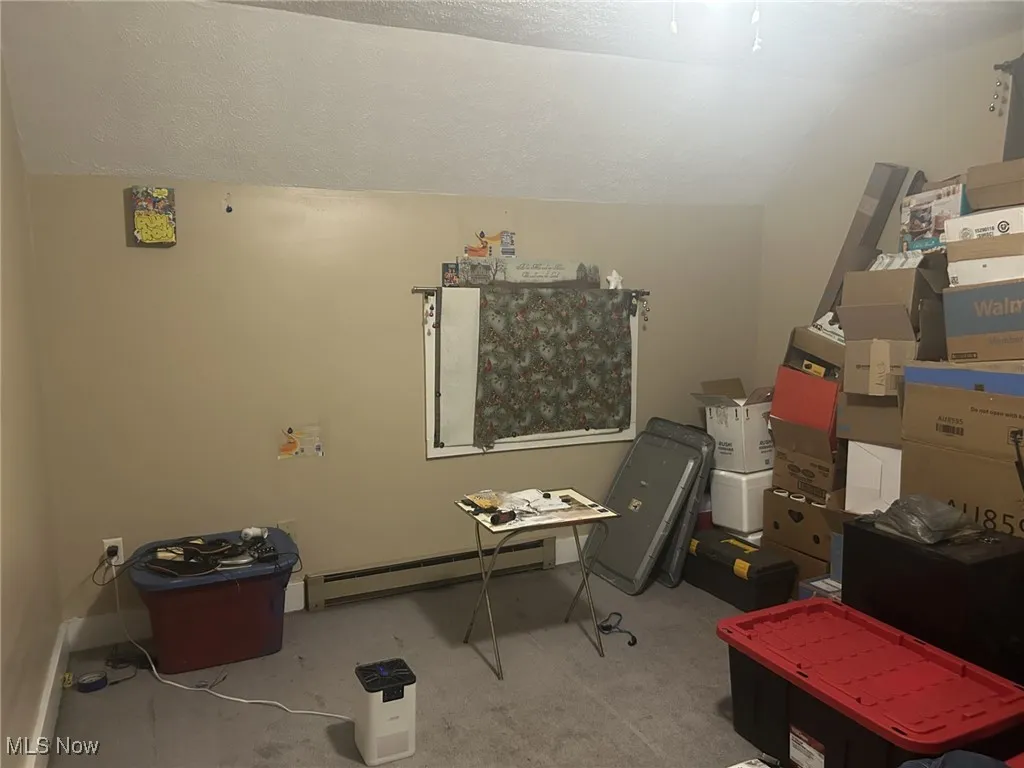 Miscellaneous room with vaulted ceiling, baseboard heating, and carpet