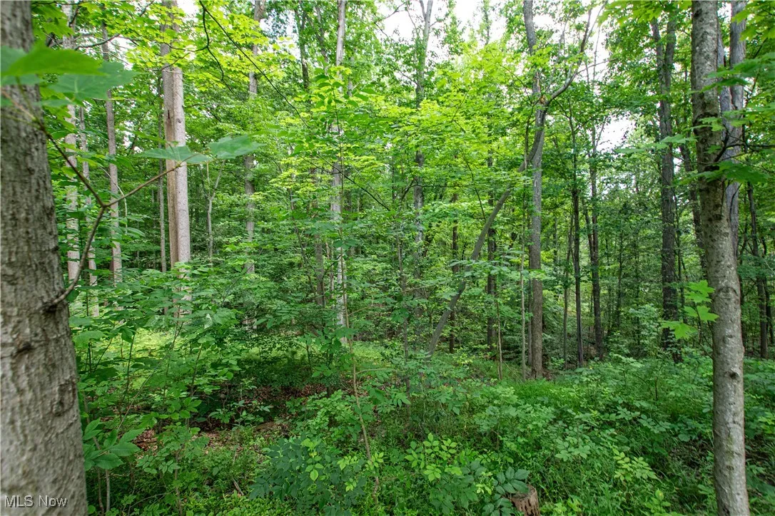 389 Bentleyville Road, Moreland Hills, Ohio,MLS Now Listing ID