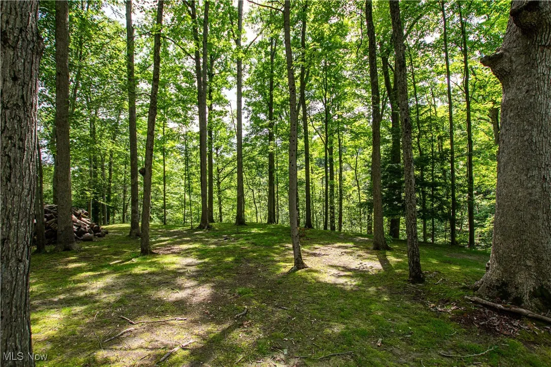 389 Bentleyville Road, Moreland Hills, Ohio,MLS Now Listing ID