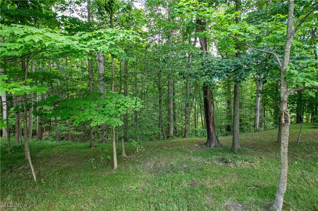 389 Bentleyville Road, Moreland Hills, Ohio,MLS Now Listing ID