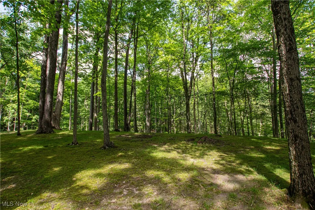 389 Bentleyville Road, Moreland Hills, Ohio,MLS Now Listing ID