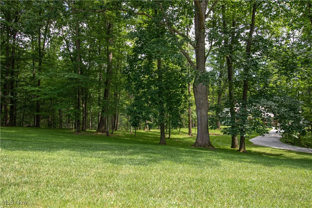 389 Bentleyville Road, Moreland Hills, Ohio,MLS Now Listing ID