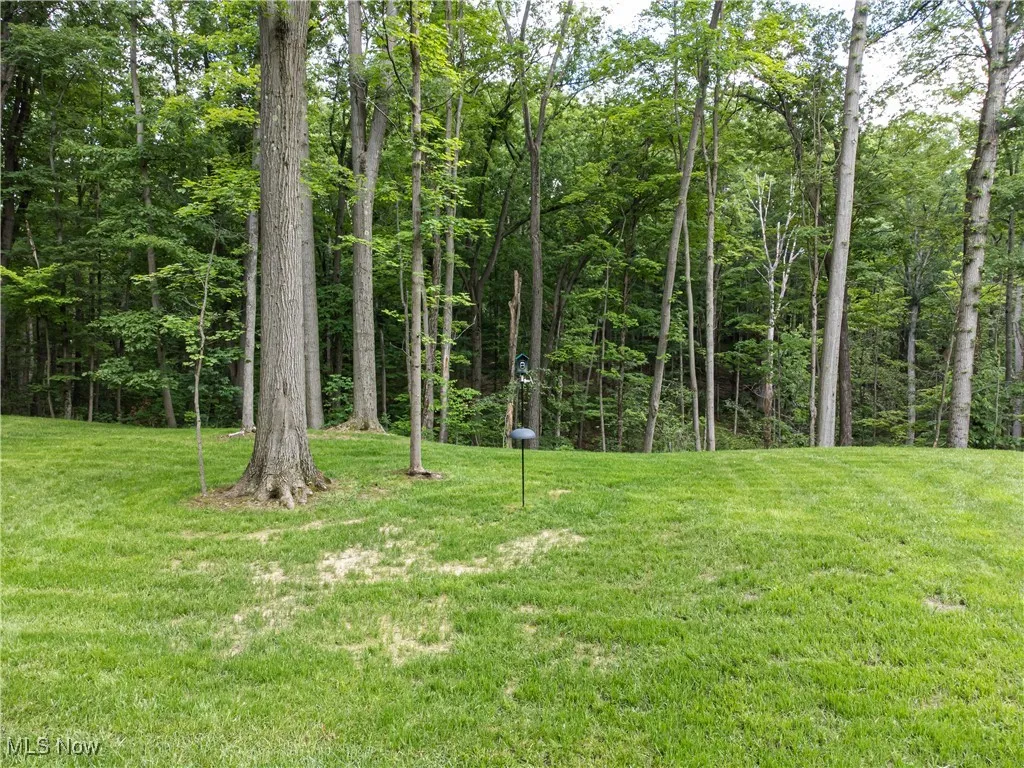 389 Bentleyville Road, Moreland Hills, Ohio,MLS Now Listing ID