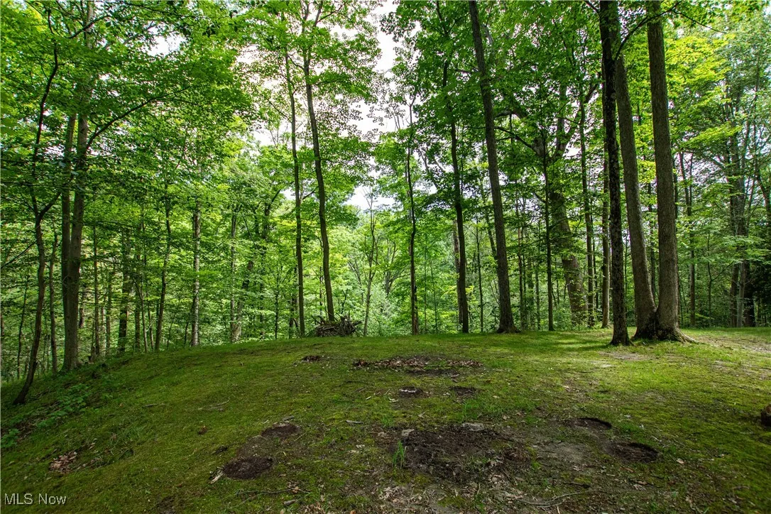 389 Bentleyville Road, Moreland Hills, Ohio,MLS Now Listing ID