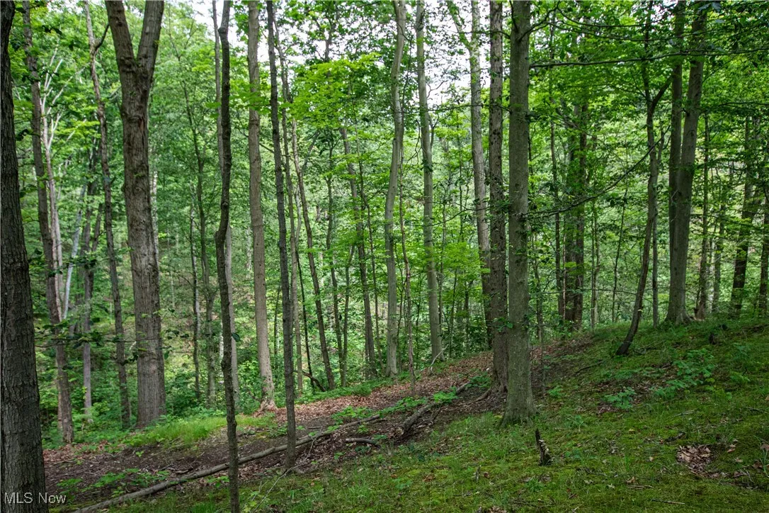 389 Bentleyville Road, Moreland Hills, Ohio,MLS Now Listing ID