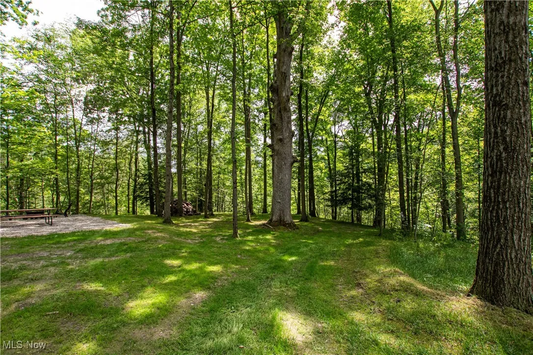 389 Bentleyville Road, Moreland Hills, Ohio,MLS Now Listing ID