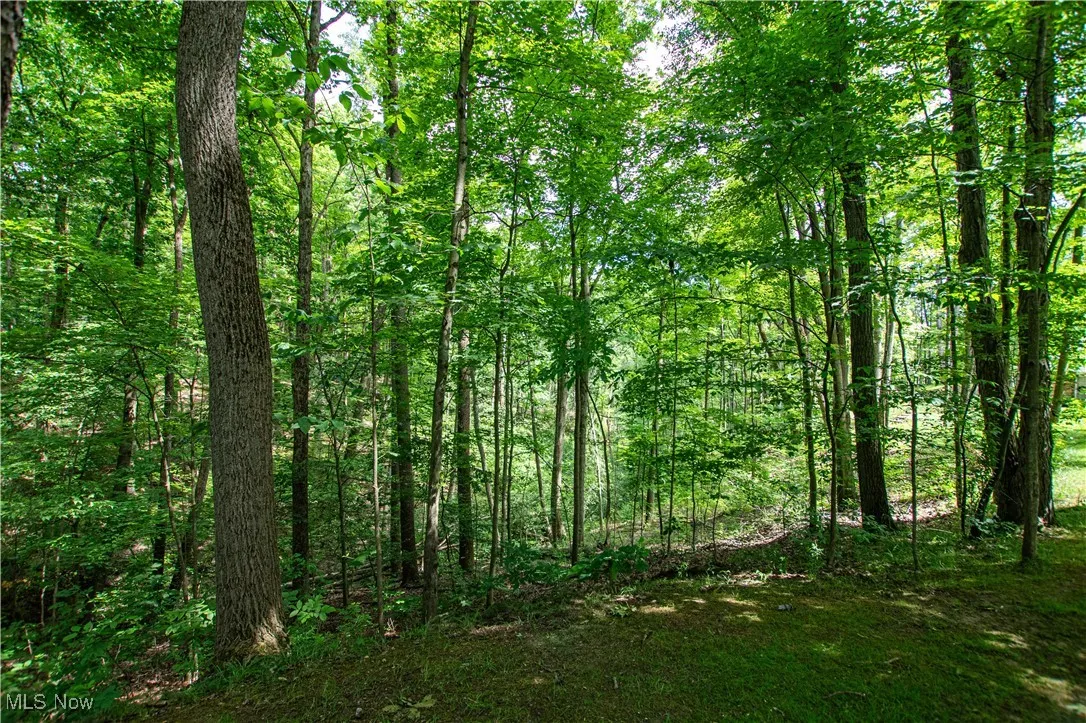389 Bentleyville Road, Moreland Hills, Ohio,MLS Now Listing ID