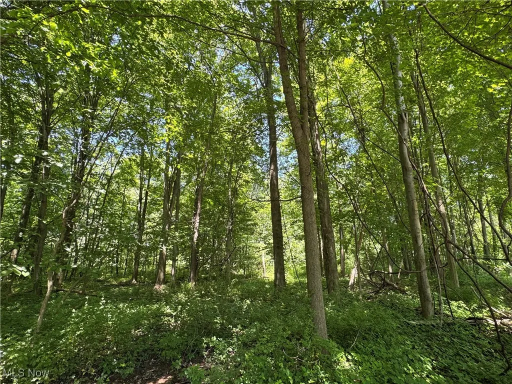 V/L 5 River Road, Madison, Ohio,MLS Now Listing ID