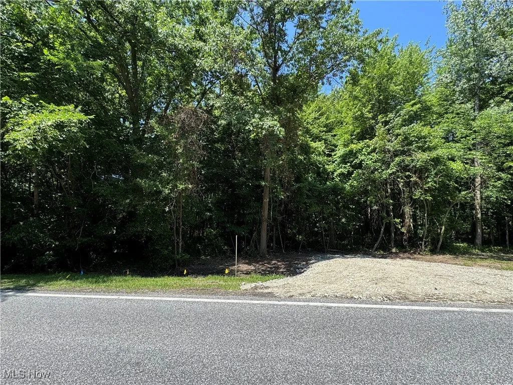 V/L 5 River Road, Madison, Ohio,MLS Now Listing ID