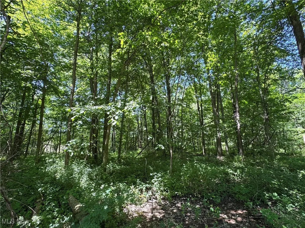 V/L 5 River Road, Madison, Ohio,MLS Now Listing ID