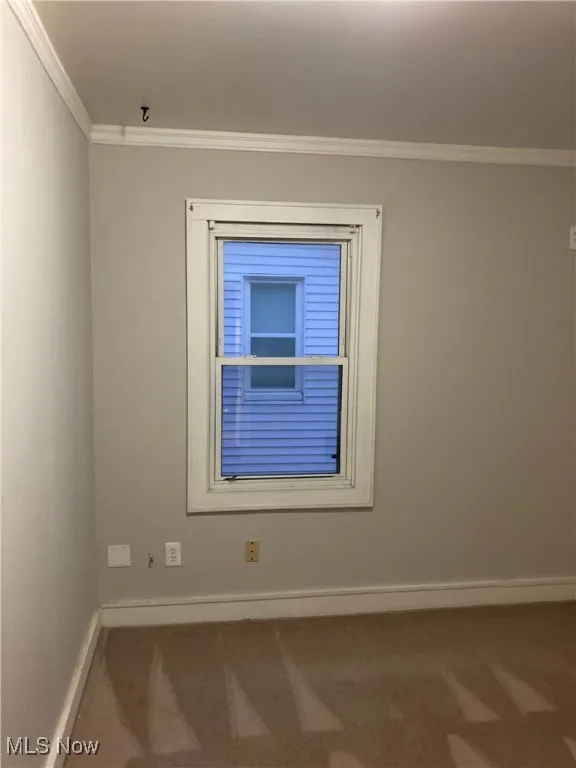 Empty room featuring ornamental molding and carpet flooring