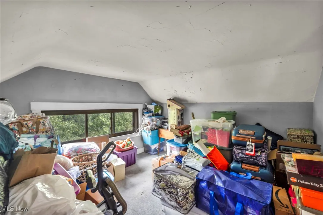 Additional living space featuring lofted ceiling and carpet