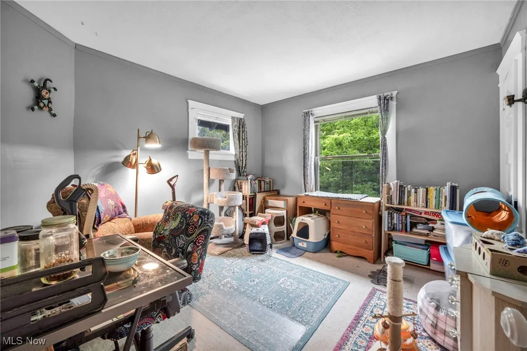 Carpeted home office with ornamental molding