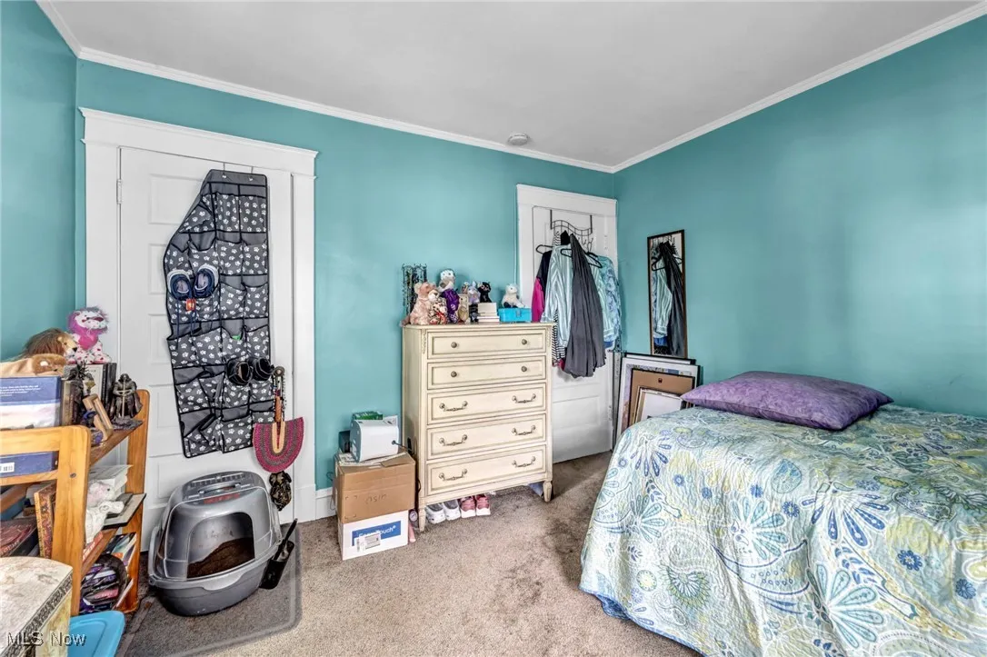 Carpeted bedroom featuring crown molding and a closet