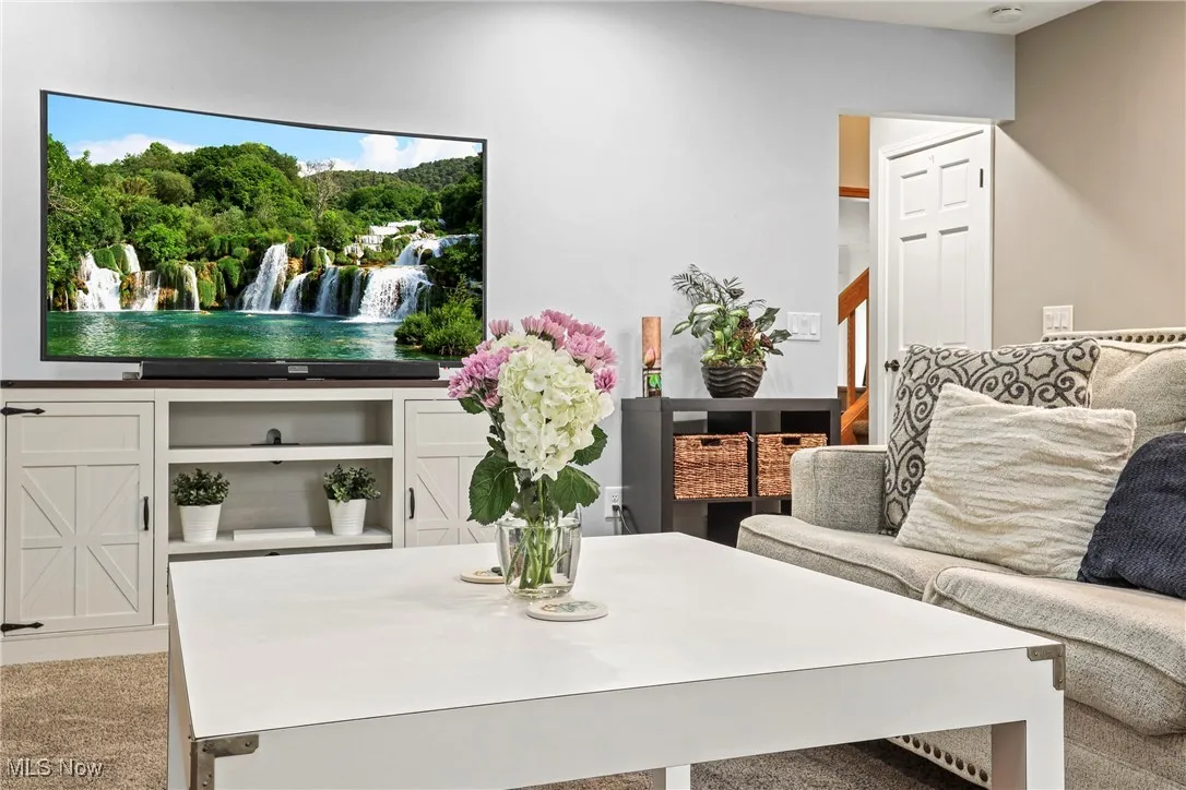 Living area featuring carpet floors