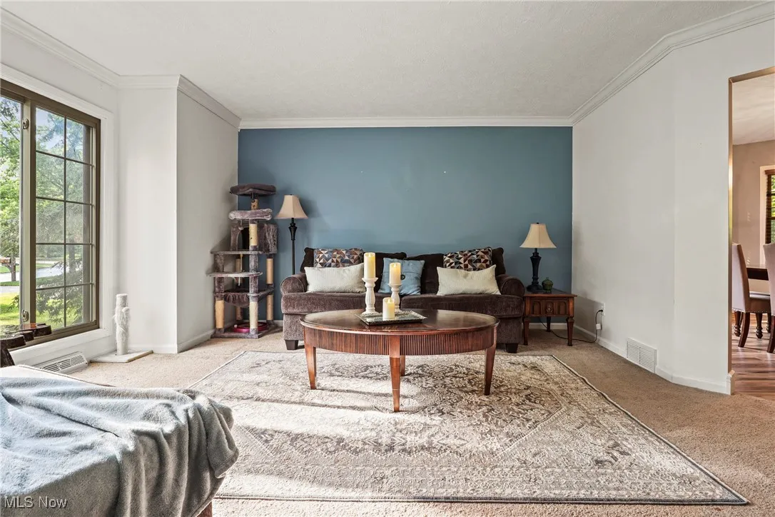 Carpeted living room featuring ornamental molding and baseboards
