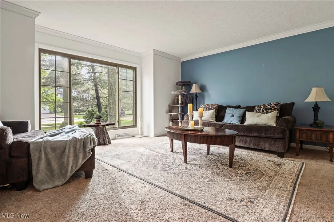 Living area featuring carpet and crown molding