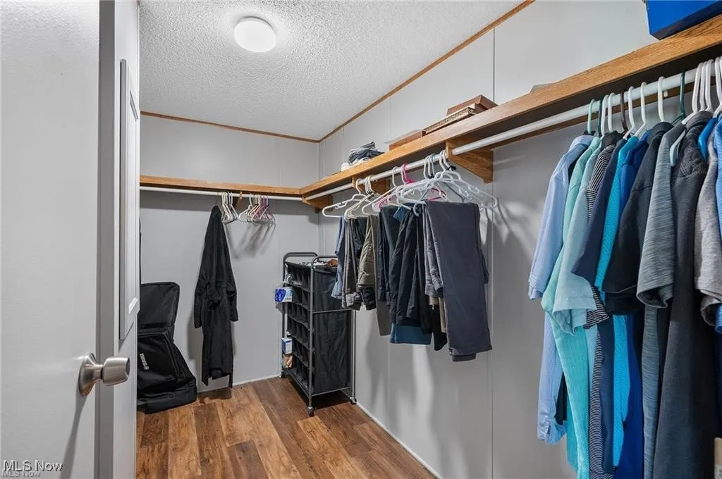 Walk in closet with wood finished floors