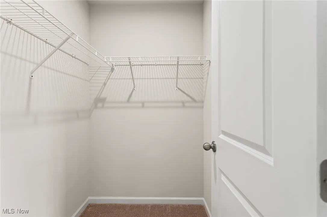 Spacious closet with carpet floors