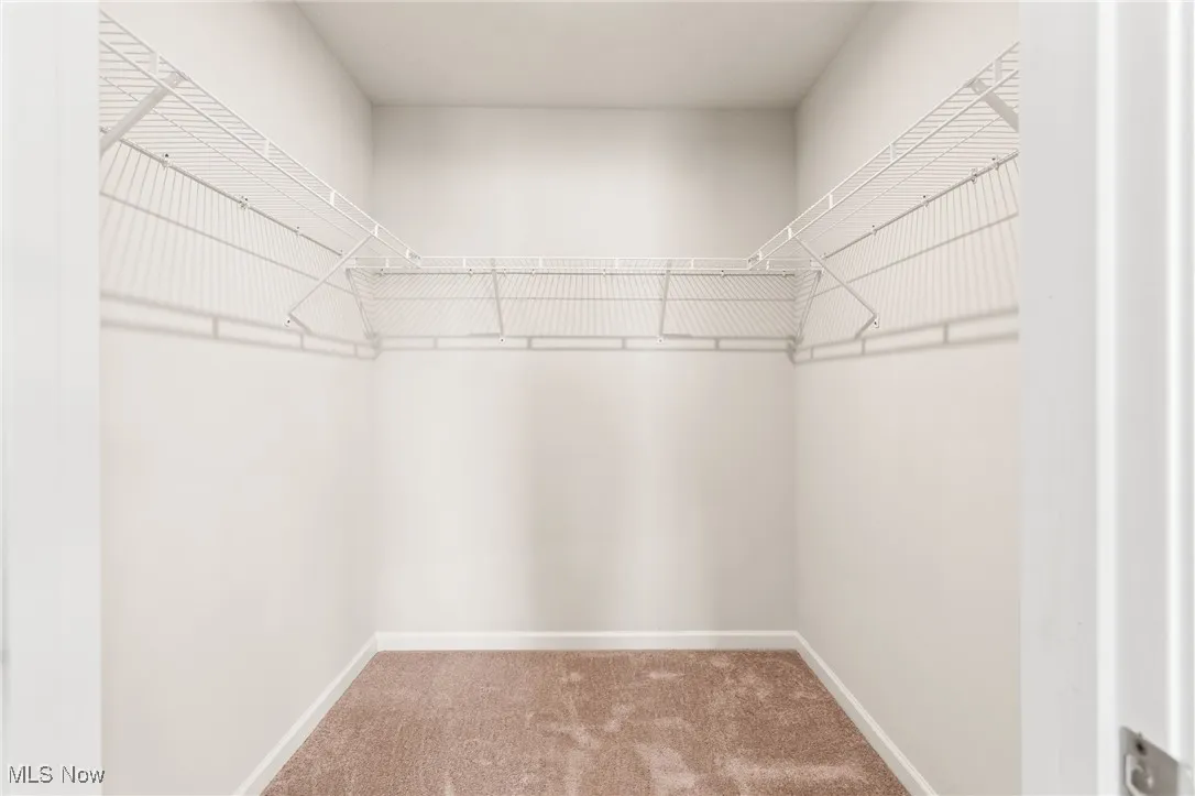 Walk in closet featuring carpet floors