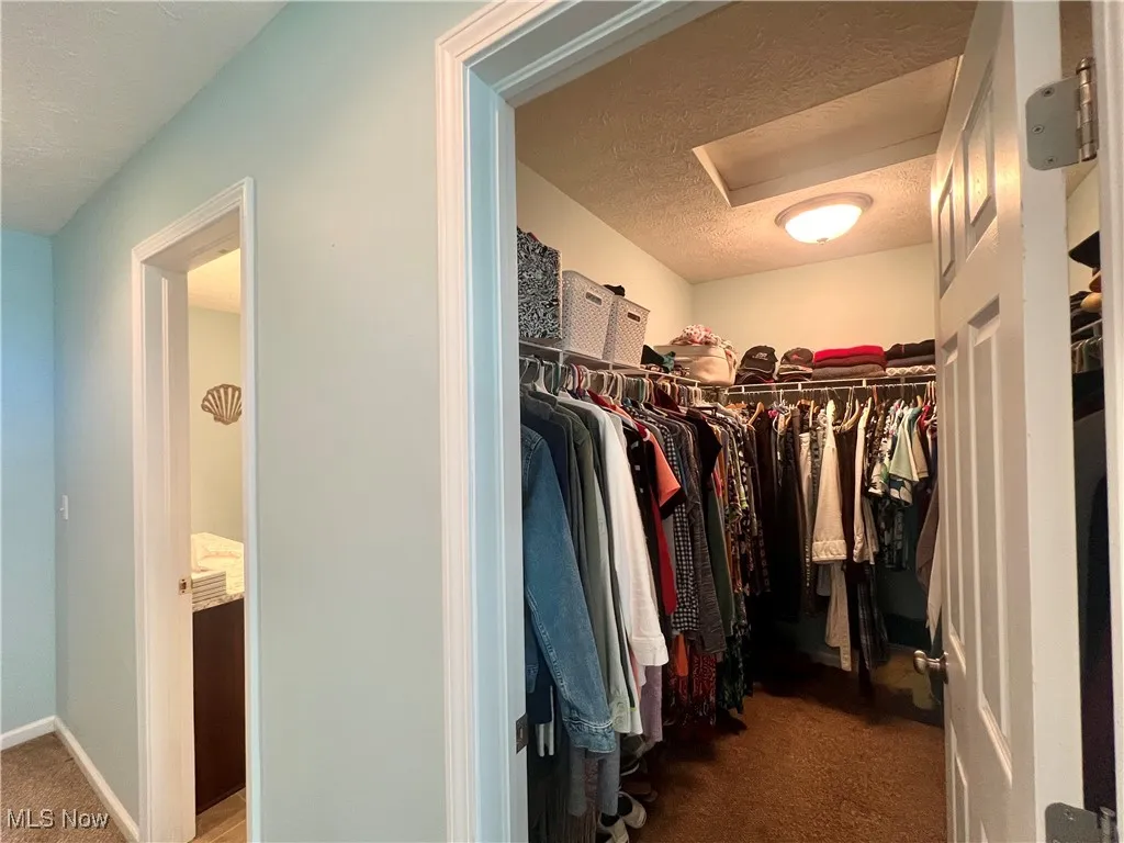 Walk in closet featuring carpet floors and attic access