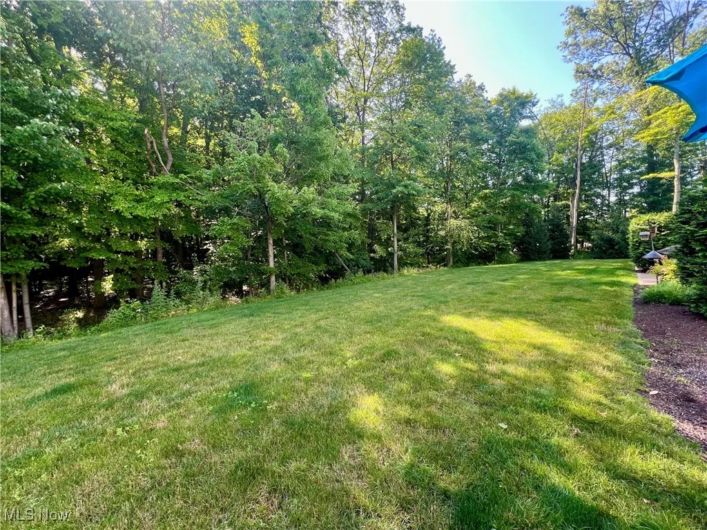 View of green lawn